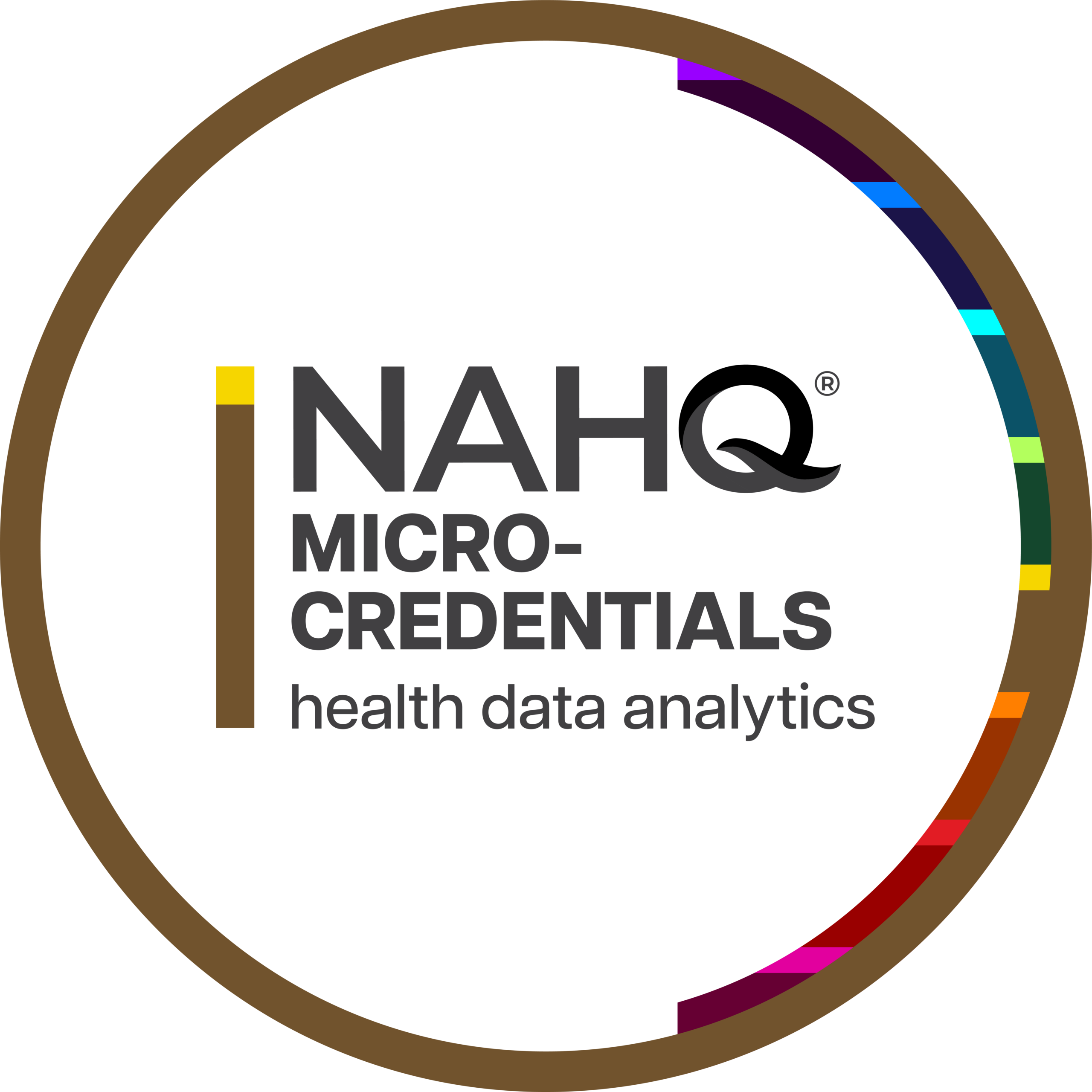 NAHQ micro-credentials badge in health data analytics